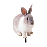 Maxbell Rabbit Animal Statue Stake Garden Rabbit Decoration for Porch Backyard Patio Style A