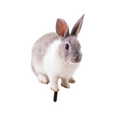 Maxbell Rabbit Animal Statue Stake Garden Rabbit Decoration for Porch Backyard Patio Style A