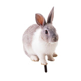 Maxbell Rabbit Animal Statue Stake Garden Rabbit Decoration for Porch Backyard Patio Style A