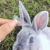 Maxbell Rabbit Animal Statue Stake Garden Rabbit Decoration for Porch Backyard Patio Style A