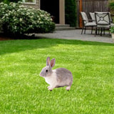 Maxbell Rabbit Animal Statue Stake Garden Rabbit Decoration for Porch Backyard Patio Style B