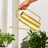 Maxbell 1500 ml Indoor Watering Can Long Mouth for Indoor Houseplants Indoor Outdoor Golden