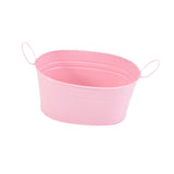 Metal Planter with Handles Portable Early Education Toy Small Iron Plant Pot Pink