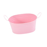 Metal Planter with Handles Portable Early Education Toy Small Iron Plant Pot Pink