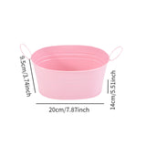 Metal Planter with Handles Portable Early Education Toy Small Iron Plant Pot Pink