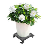 Maxbell Movable Plantpot Tray Heavy Duty Pot Trolley for Patio Indoor Outdoor Garden Black
