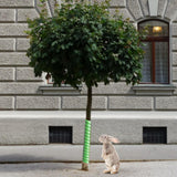 Maxbell Tree Trunk Protector Wrap Plant Cover Garden Winter Sleeve Spiral Tree Guard