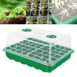 Maxbell Seedling Starting Tray 48 Holes Growing Tray for Wheatgrass Indoor Gardening Green
