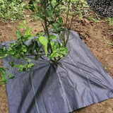 Weeds Barrier Landscape Fabric Premium for Gardening Farming Weeds Maintenance 1mx20m