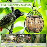 Maxbell 6 Pieces Bird Feeders Decor Hanging Birdfeeder for Bird Lovers Backyard Gift
