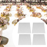 Maxbell Hydroponic Sponge Greenhouse Replacement Small Bud Growth Plants Growth Pods