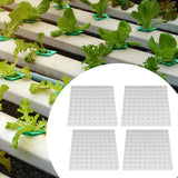Maxbell Hydroponic Sponge Greenhouse Replacement Small Bud Growth Plants Growth Pods