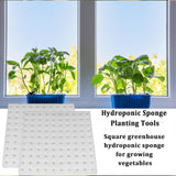 Maxbell Hydroponic Sponge Greenhouse Replacement Small Bud Growth Plants Growth Pods