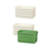 Maxbell Sprouts Tray Grower Storage Trays Germination Tray for Office Indoor Garden