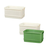 Maxbell Sprouts Tray Grower Storage Trays Germination Tray for Office Indoor Garden