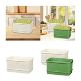 Maxbell Sprouts Tray Grower Storage Trays Germination Tray for Office Indoor Garden
