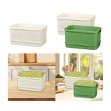 Maxbell Sprouts Tray Grower Storage Trays Germination Tray for Office Indoor Garden