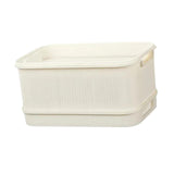 Maxbell Sprouts Tray Grower Storage Trays Germination Tray for Office Indoor Garden