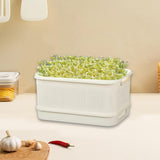 Maxbell Sprouts Tray Grower Storage Trays Germination Tray for Office Indoor Garden