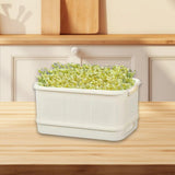 Maxbell Sprouts Tray Grower Storage Trays Germination Tray for Office Indoor Garden