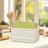 Maxbell Sprouts Tray Grower Storage Trays Germination Tray for Office Indoor Garden
