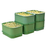 Maxbell 2Pcs Sprouts Tray Large Capacity Reusable Germination Tray for Indoor Office