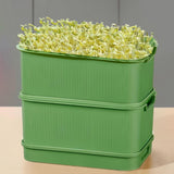 Maxbell 2Pcs Sprouts Tray Large Capacity Reusable Germination Tray for Indoor Office