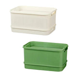 Maxbell 2Pcs Sprouts Tray Large Capacity Reusable Germination Tray for Indoor Office