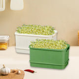 Maxbell 2Pcs Sprouts Tray Large Capacity Reusable Germination Tray for Indoor Office