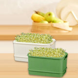 Maxbell 2Pcs Sprouts Tray Large Capacity Reusable Germination Tray for Indoor Office