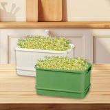 Maxbell 2Pcs Sprouts Tray Large Capacity Reusable Germination Tray for Indoor Office