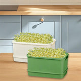 Maxbell 2Pcs Sprouts Tray Large Capacity Reusable Germination Tray for Indoor Office