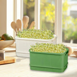 Maxbell 2Pcs Sprouts Tray Large Capacity Reusable Germination Tray for Indoor Office