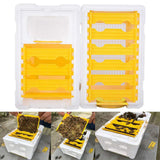 Maxbell Queen Bee Breeding Box Foam Queen Rearing Hive for Garden Balcony Hot Summer Yellow