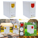 Maxbell Queen Bee Breeding Box Foam Queen Rearing Hive for Garden Balcony Hot Summer Red