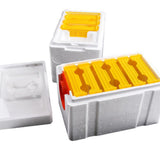 Maxbell Queen Bee Breeding Box Foam Queen Rearing Hive for Garden Balcony Hot Summer Red