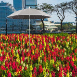 Maxbell Outdoor Plant Sunshade Umbrella Sturdy Weatherproof for Bonsai Patio Outside silver