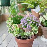 Maxbell Heart Shaped Plant Trellis Decorative Indoor for Flower Potted Plants Pothos Black