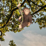 Maxbell Garden Animal Hanging Decor Artwork Garden Decoration for Yard Outside Patio Orangutan