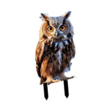 Maxbell Yard Stake Acrylic Owl Garden Ornament Yard Sign for Courtyard Outdoor Patio