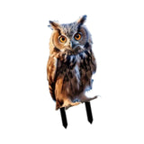 Maxbell Yard Stake Acrylic Owl Garden Ornament Yard Sign for Courtyard Outdoor Patio