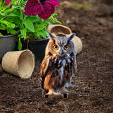 Maxbell Yard Stake Acrylic Owl Garden Ornament Yard Sign for Courtyard Outdoor Patio