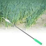 Maxbell Garlic Scape Extractor Portable High Efficiency Easy to Operate Peeling Tool
