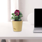 Maxbell Self Watering Pot Decorative Flowerpot for Household Living Room Houseplants Khaki