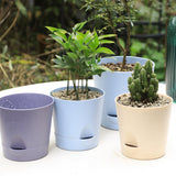 Maxbell Self Watering Pot Decorative Flowerpot for Household Living Room Houseplants Blue