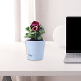 Maxbell Self Watering Pot Decorative Flowerpot for Household Living Room Houseplants Blue