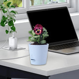 Maxbell Self Watering Pot Decorative Flowerpot for Household Living Room Houseplants Blue