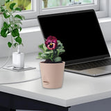 Maxbell Self Watering Pot Decorative Flowerpot for Household Living Room Houseplants Pink