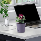 Maxbell Self Watering Pot Decorative Flowerpot for Household Living Room Houseplants Purple