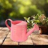 Maxbell Watering Can for Kids Children for Indoor Outdoor Plants Gardening Water Pot Pink